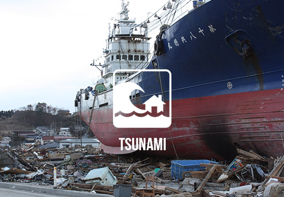 Tsunami Case Study